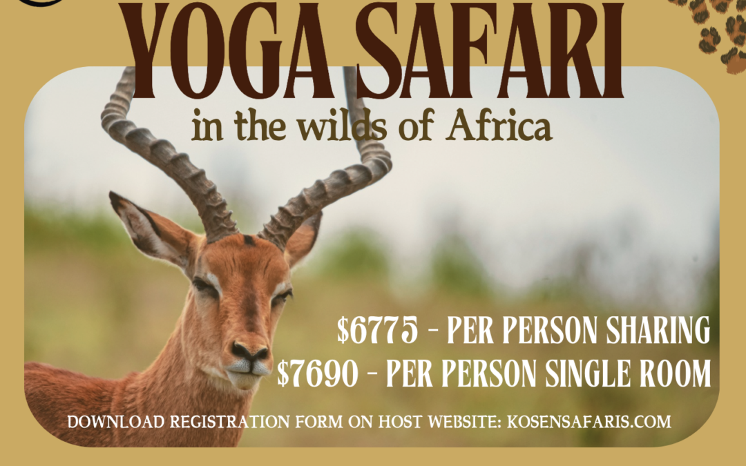 2025 Yoga Safari